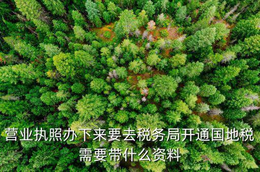 有了營(yíng)業(yè)執(zhí)照要帶什么去辦稅，拿到營(yíng)業(yè)執(zhí)照銀行開戶后去辦稅帶什么證件