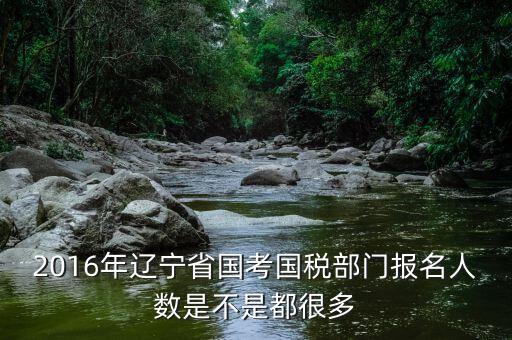 遼寧國(guó)稅什么時(shí)候報(bào)道，國(guó)考公務(wù)員遼寧國(guó)稅聽(tīng)說(shuō)7月份報(bào)到是式工作了嗎
