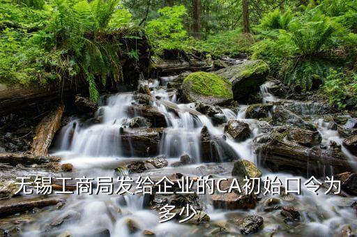 ca初始密碼是什么，ca證書密碼是什么