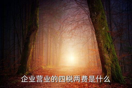 國稅的兩費(fèi)是什么，什么是一稅兩費(fèi)申報(bào)