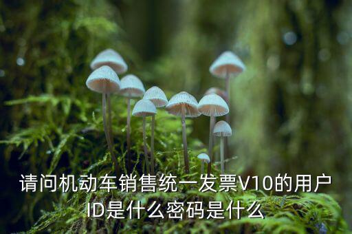 發(fā)票登錄密碼是什么，國稅局發(fā)票軟件里用戶代碼和密碼是什么