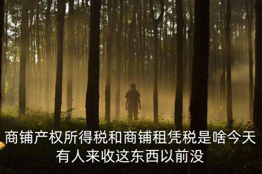 什么叫店面租憑稅，商鋪產(chǎn)權(quán)所得稅和商鋪租憑稅是啥今天有人來收這東西以前沒