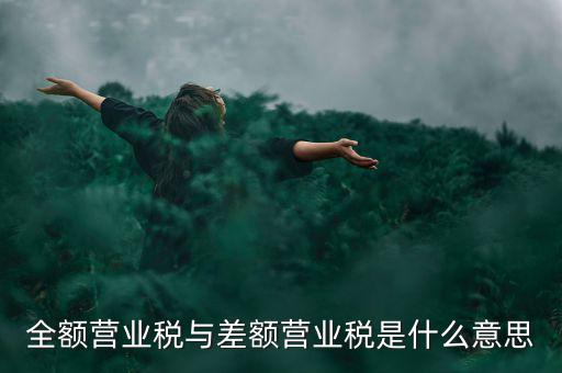 什么叫差額征稅，什么是差額稅