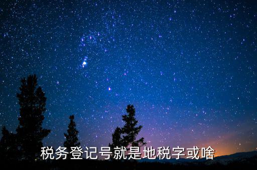 國(guó)稅地稅登記號(hào)是什么意思，稅務(wù)登記號(hào)就是地稅字或啥