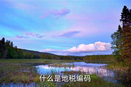 地稅登記編號(hào)是什么，什么是地稅號(hào)