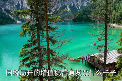 普通票是什么樣子的，什么是普通發(fā)票普通發(fā)票包括多少種具體都是什么樣式的啊搜