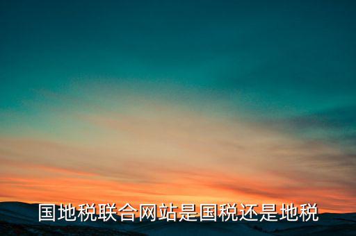 國(guó)地稅聯(lián)合辦稅是什么意思，國(guó)地稅聯(lián)合稅費(fèi)申報(bào)什么意思