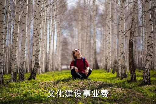 什么是文化事業(yè)建設(shè)稅，文化建設(shè)事業(yè)費(fèi)
