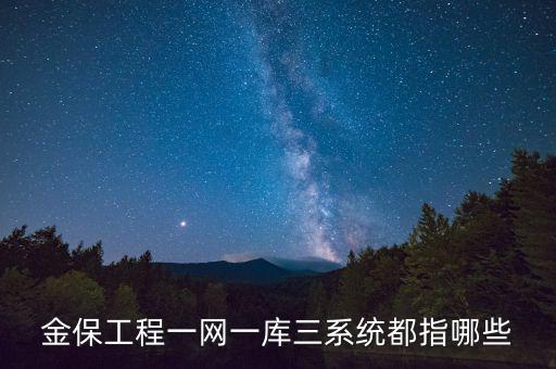 什么是金三系統(tǒng)，會(huì)計(jì)證外借給公司掛靠什么也沒做就被金三系統(tǒng)監(jiān)控了