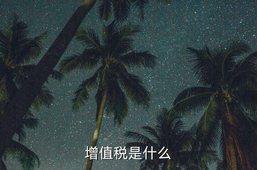 增值稅增值部分是什么，財務上增值部份是指什么如進項發(fā)票為10萬銷項發(fā)票為30萬兩項