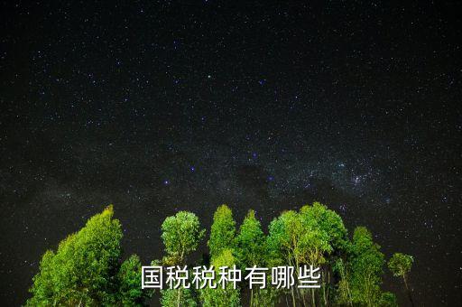國稅都有什么稅，國稅包括哪些啊