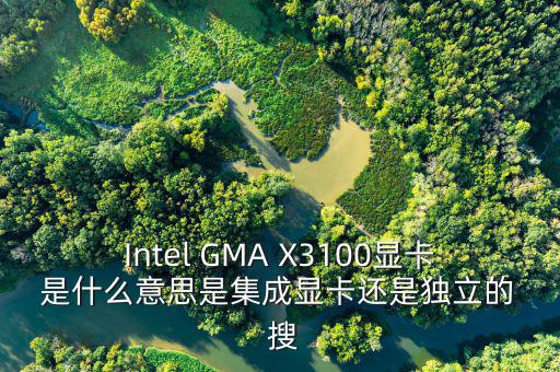 國稅集成理念是什么意思，Intel GMA X3100顯卡 是什么意思是集成顯卡還是獨立的  搜