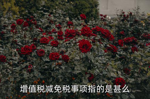 什么是減免稅申報，增值稅減免稅事項指的是甚么