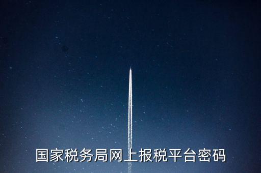 國家稅務(wù)局網(wǎng)上報(bào)稅平臺密碼