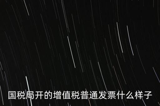 國(guó)稅局開的增值稅普通發(fā)票什么樣子