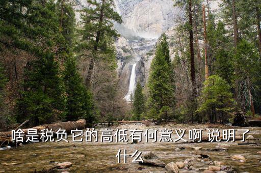 什么是稅負分析，增值稅稅負什么意思