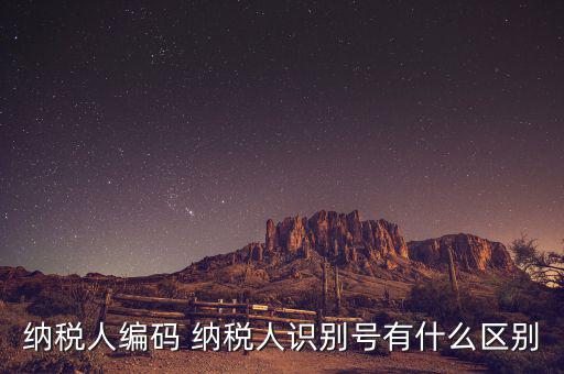 納稅人的識別號是什么意思，納稅人識別號是什么