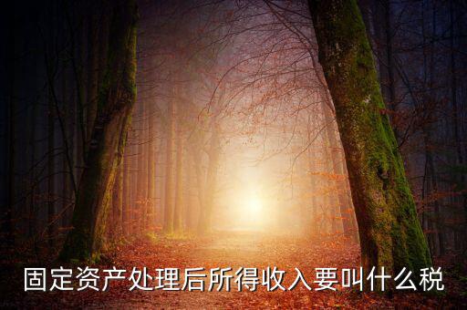 什么叫做試點(diǎn)納稅人，固定資產(chǎn)處理后所得收入要叫什么稅