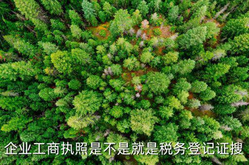 什么是工商稅務(wù)登記證，什么是稅務(wù)證