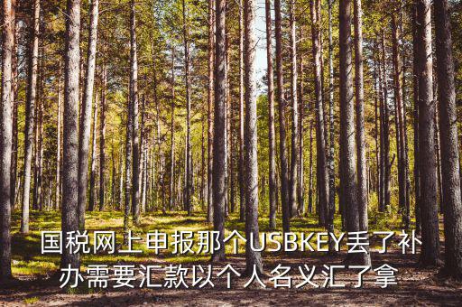 稅務(wù)ukey是什么意思，國稅網(wǎng)上申報(bào)那個(gè)USBKEY丟了補(bǔ)辦需要匯款以個(gè)人名義匯了拿