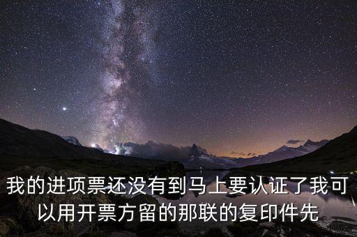 納稅清單驗(yàn)證碼是什么，我的進(jìn)項(xiàng)票還沒有到馬上要認(rèn)證了我可以用開票方留的那聯(lián)的復(fù)印件先
