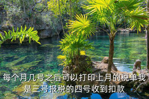 每個(gè)月幾號之后可以打印上月的稅單我是三號報(bào)稅的四號收到扣款