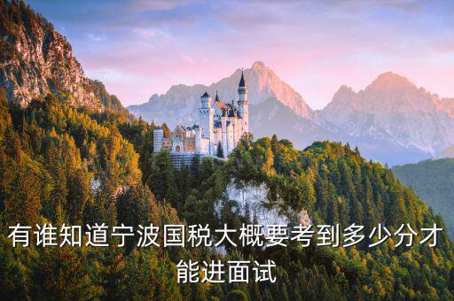 國稅 要求什么素質(zhì)，國稅公務(wù)員面試