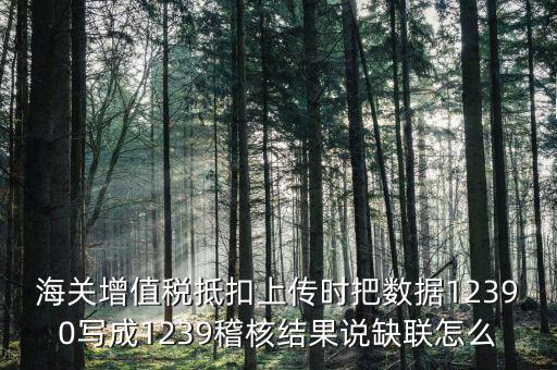 海關增值稅抵扣上傳時把數(shù)據(jù)12390寫成1239稽核結(jié)果說缺聯(lián)怎么