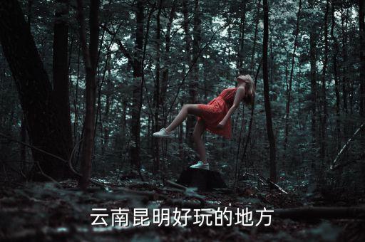 云南昆明地稅旁有什么好玩的地方，云南昆明有哪些好玩的地方