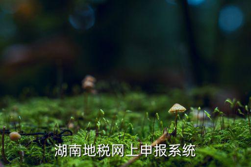湖南省的地稅報稅軟件是什么，湖南地稅網(wǎng)上申報系統(tǒng)