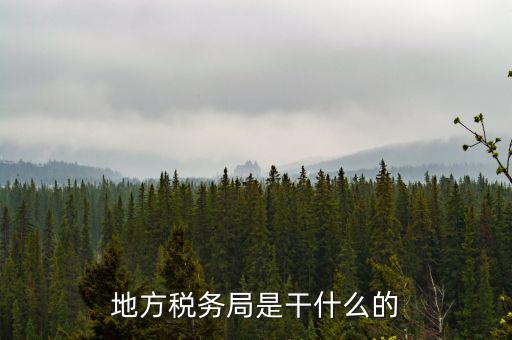 地稅局涉外稅收做什么，陜西發(fā)票涉外地稅是什么意思