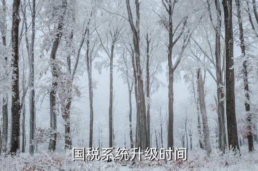 稅務(wù)系統(tǒng)什么時(shí)候更新的，深圳國稅系統(tǒng)什么時(shí)候換的
