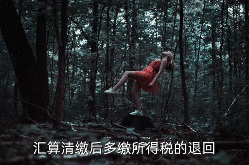 匯算清繳多繳稅款什么時候退，企業(yè)所得稅匯算清繳退款什么時候到賬