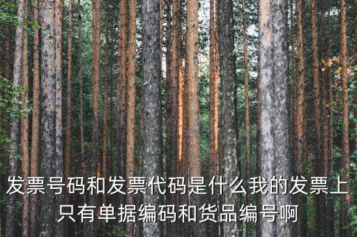 發(fā)票代碼和發(fā)票號碼是什么，發(fā)票代碼和發(fā)票號碼有什么用