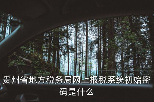 黑龍江電子稅務(wù)是什么，貴州省地方稅務(wù)局網(wǎng)上報(bào)稅系統(tǒng)初始密碼是什么