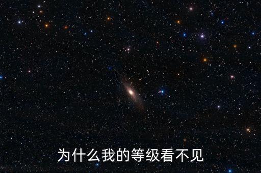 為什么無(wú)法查詢到納稅等級(jí)，為什么我的等級(jí)看不見(jiàn)