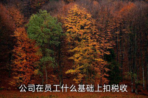 什么是稅收基礎工作，問個問題稅務基本建設 是個什么崗位