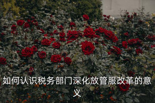 如何認(rèn)識(shí)稅務(wù)部門(mén)深化放管服改革的意義
