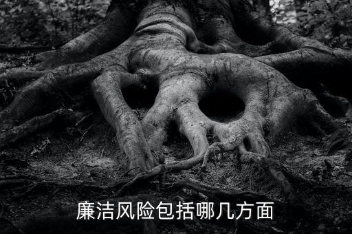 紀(jì)律風(fēng)險(xiǎn)是什么意思，什么是廉政風(fēng)險(xiǎn)