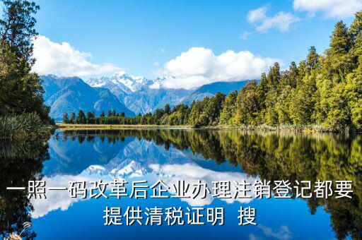 一碼一照清稅需要提交什么資料，一照一碼改革后企業(yè)辦理注銷登記都要提供清稅證明  搜