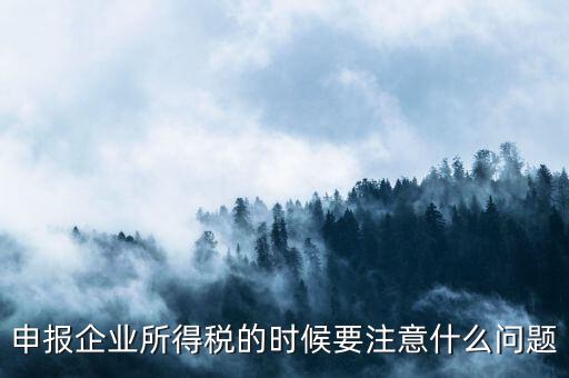 年度企業(yè)所得稅申報(bào)注意什么，申報(bào)企業(yè)所得稅的時(shí)候要注意什么問(wèn)題