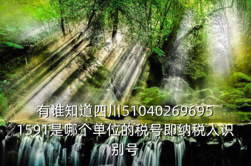 四川國稅廳帳號是什么，有誰知道四川510402696951591是哪個單位的稅號即納稅人識別號