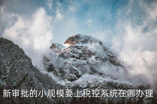 什么是小規(guī)模稅控升級，新審批的小規(guī)模要上稅控系統(tǒng)在哪辦理