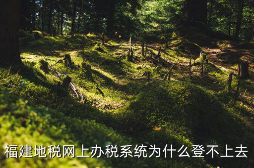 企業(yè)所得稅系統(tǒng)為什么登不上，福建地稅網(wǎng)上辦稅系統(tǒng)為什么登不上去