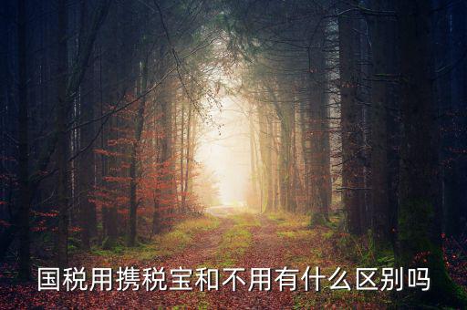 稅寶是什么，國稅用攜稅寶和不用有什么區(qū)別嗎