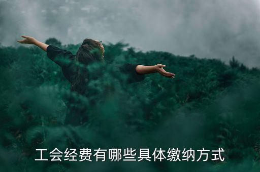 工會經費有哪些具體繳納方式