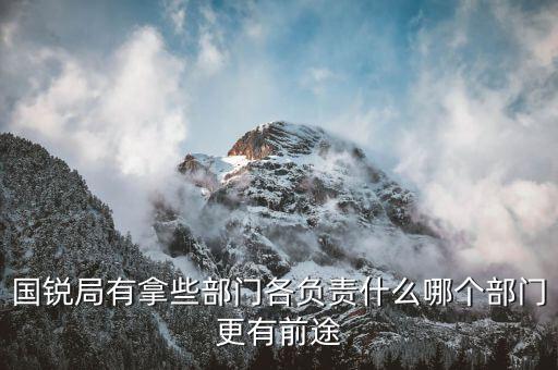 國(guó)銳局是辦什么，深圳公司入黑名單注銷(xiāo)吊銷(xiāo)