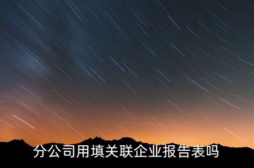 分公司用填關聯企業(yè)報告表嗎