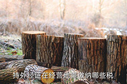 江蘇企業(yè)開(kāi)外經(jīng)證要交什么稅，持外經(jīng)證在經(jīng)營(yíng)地需繳納哪些稅