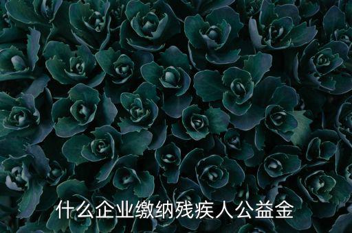 什么企業(yè)需申報殘疾人保障金，哪些單位應(yīng)該繳納殘疾人保障基金
